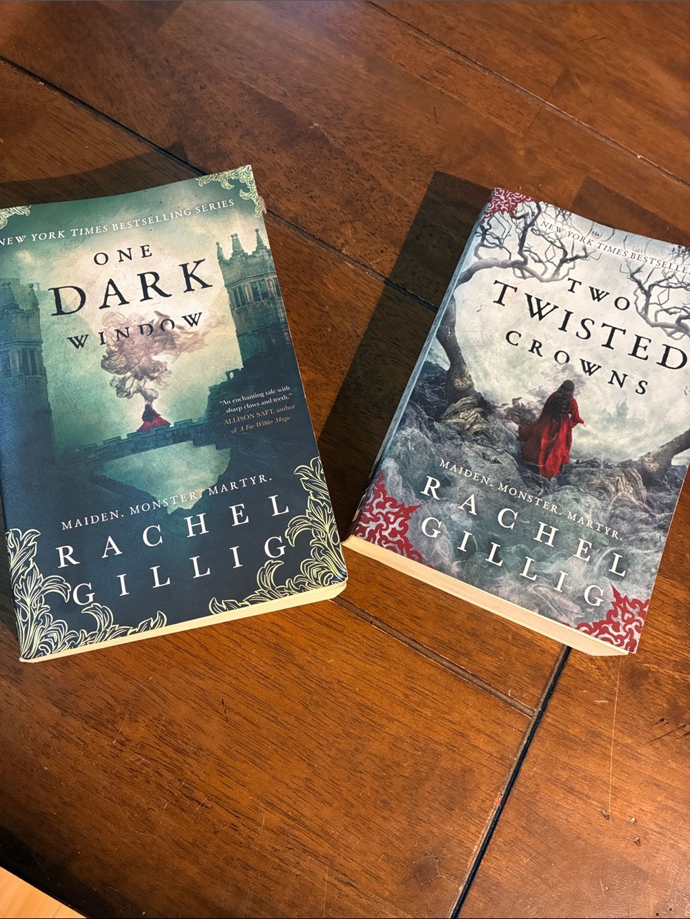 Bundle of two amazing fantasy romantasy novels by Rachel Gillig 📚